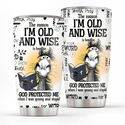 Jesuspirit | Christian Faith Gifts | Stainless Steel Tumbler | God protected me SSTNAHN1001A