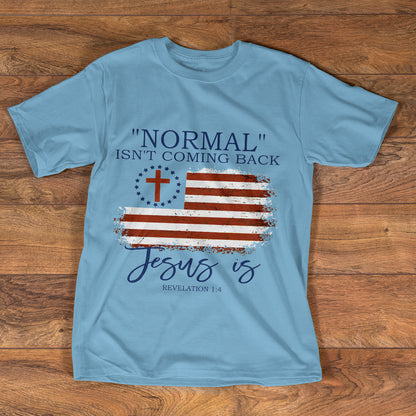 Normal Isn't Coming Back |  2D Unisex T-shirt