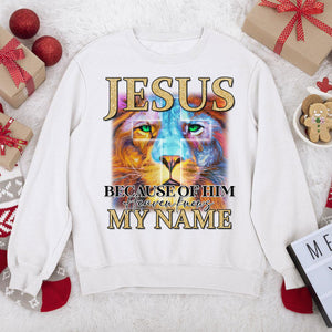 Must-Have Lion Unisex Sweatshirt - Jesus Because Of Him, Heaven Knows My Name AHN219